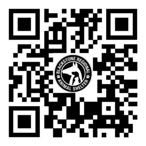 Check out Blackstone Regional Animal Shelter!